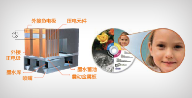 爱普生PP-50BD（蓝光）光盘印刷刻录机